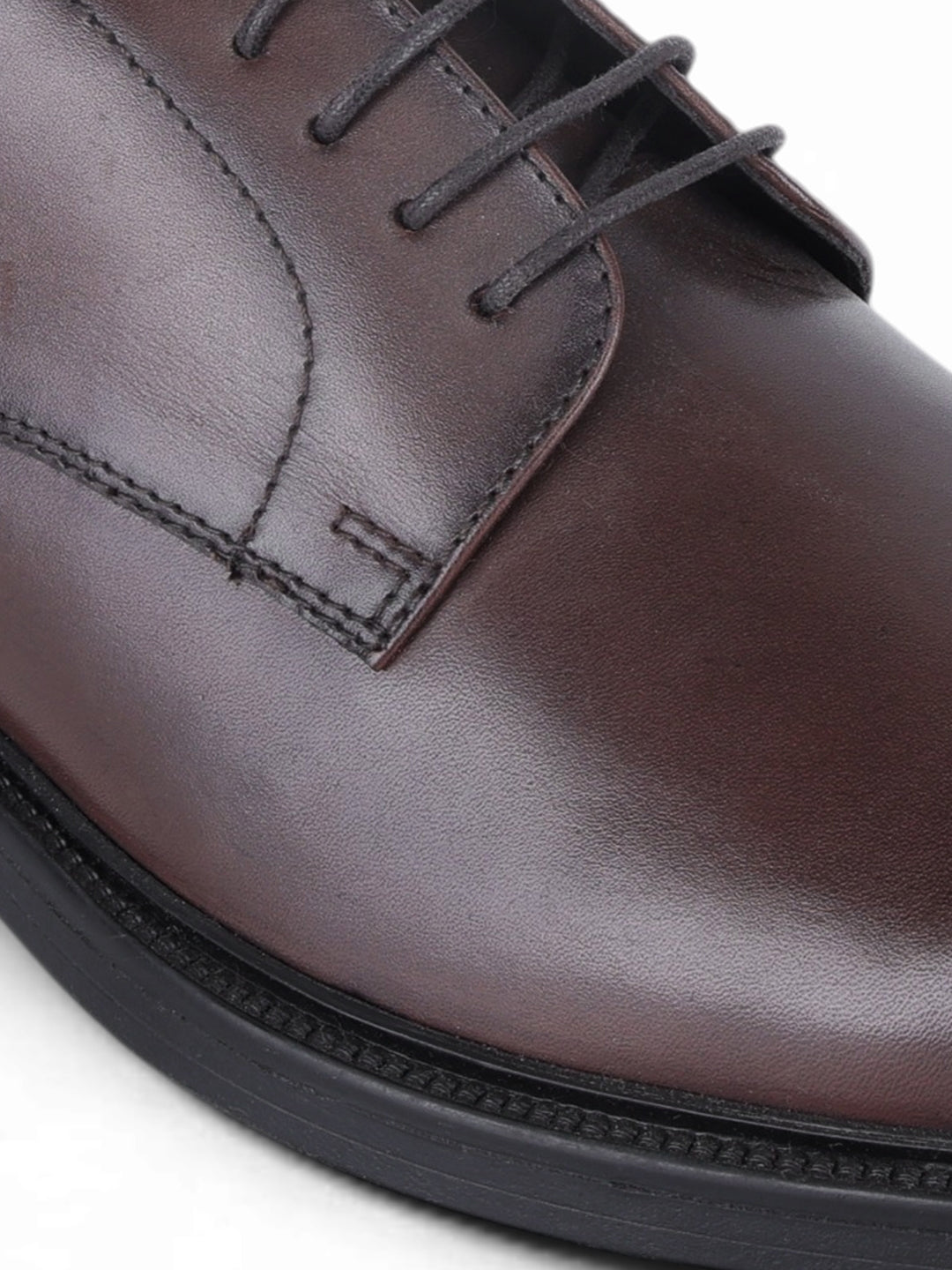 Vance Brown Lace Up Derby Shoes| Premium Genuine Leather Formal Shoes |TC-2655BL