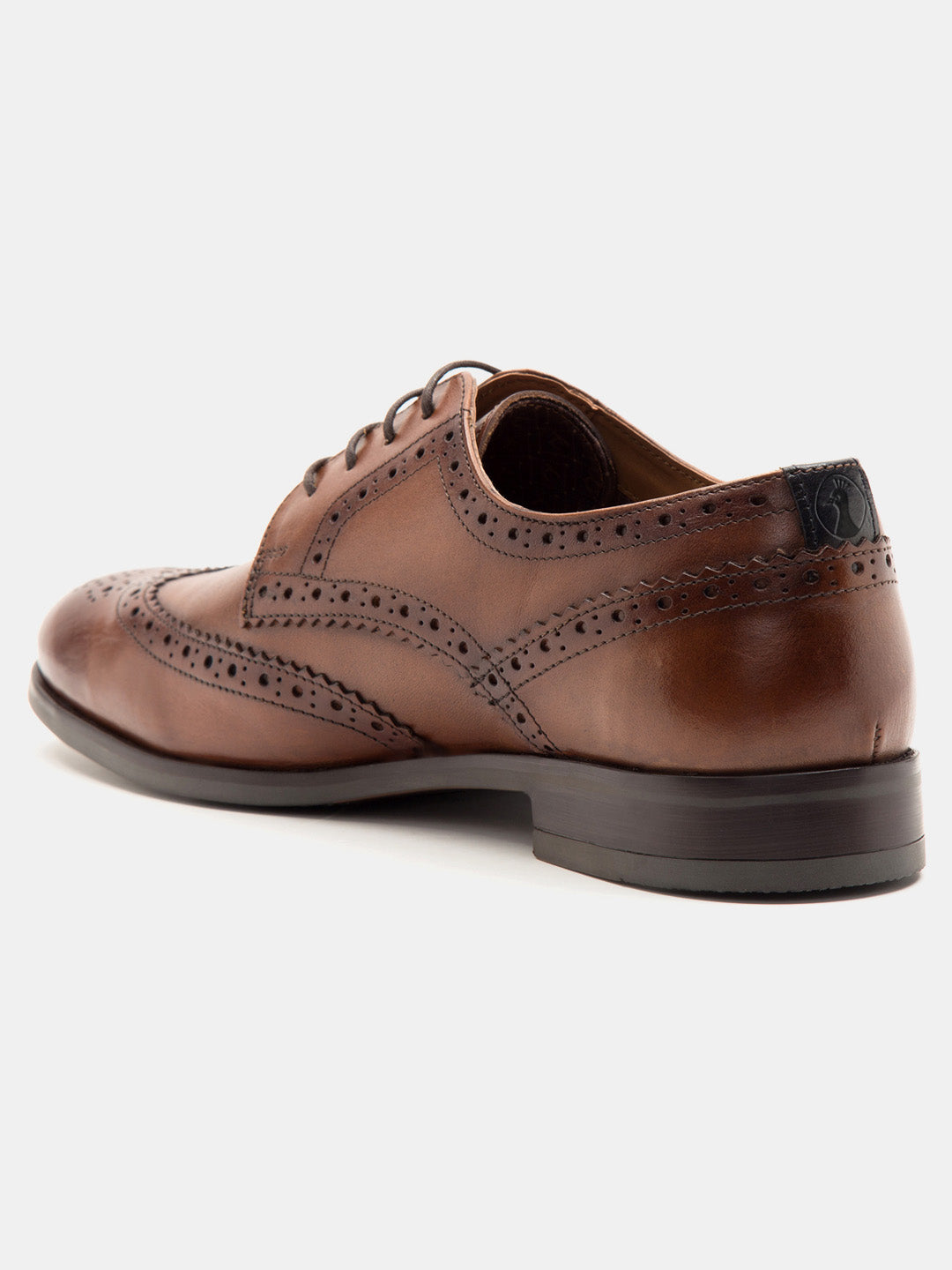 Sheffield Brogue Dark Tan TC-2314DTN