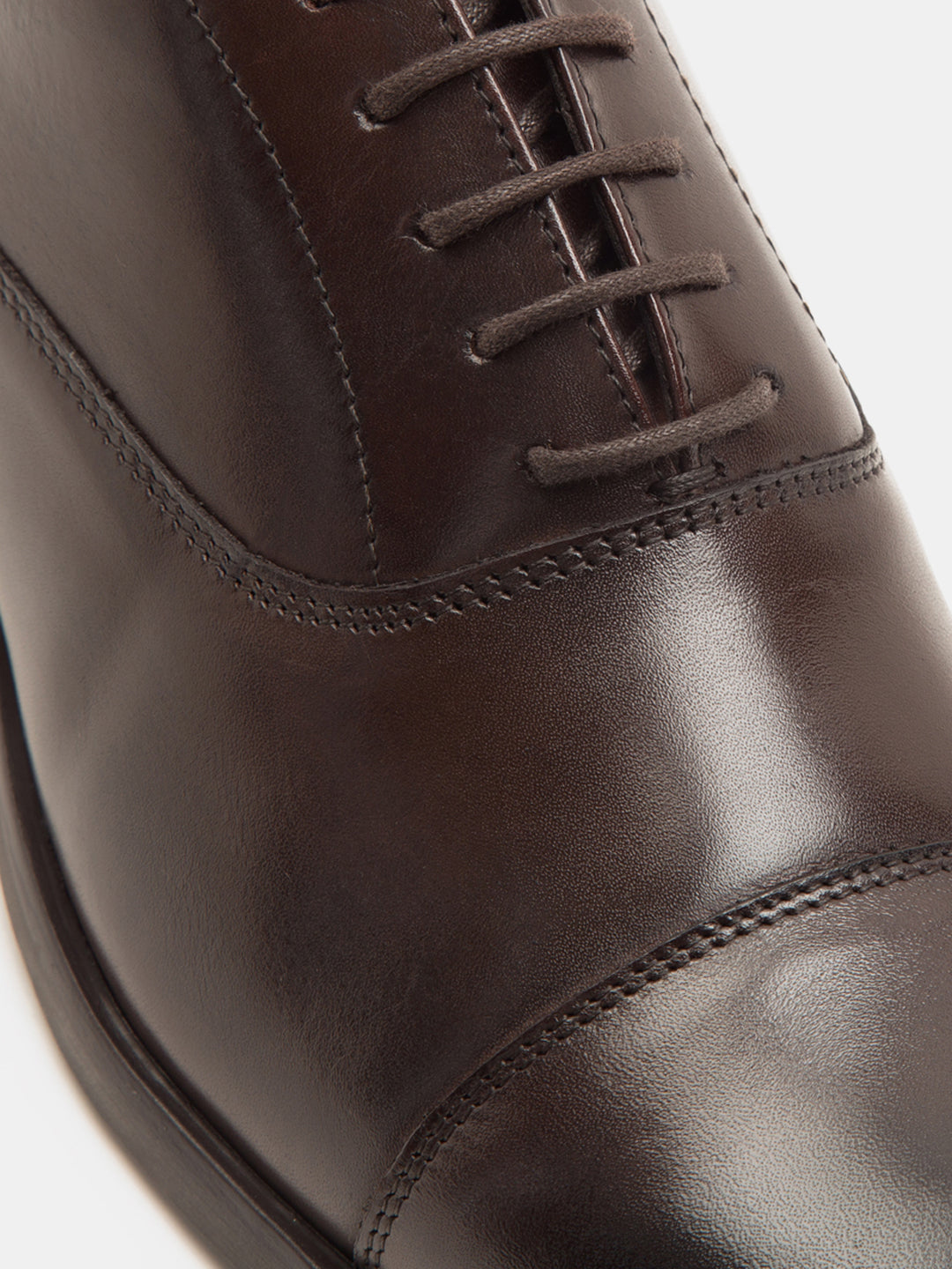 Mayfair Oxford -Brown TC-2316BR