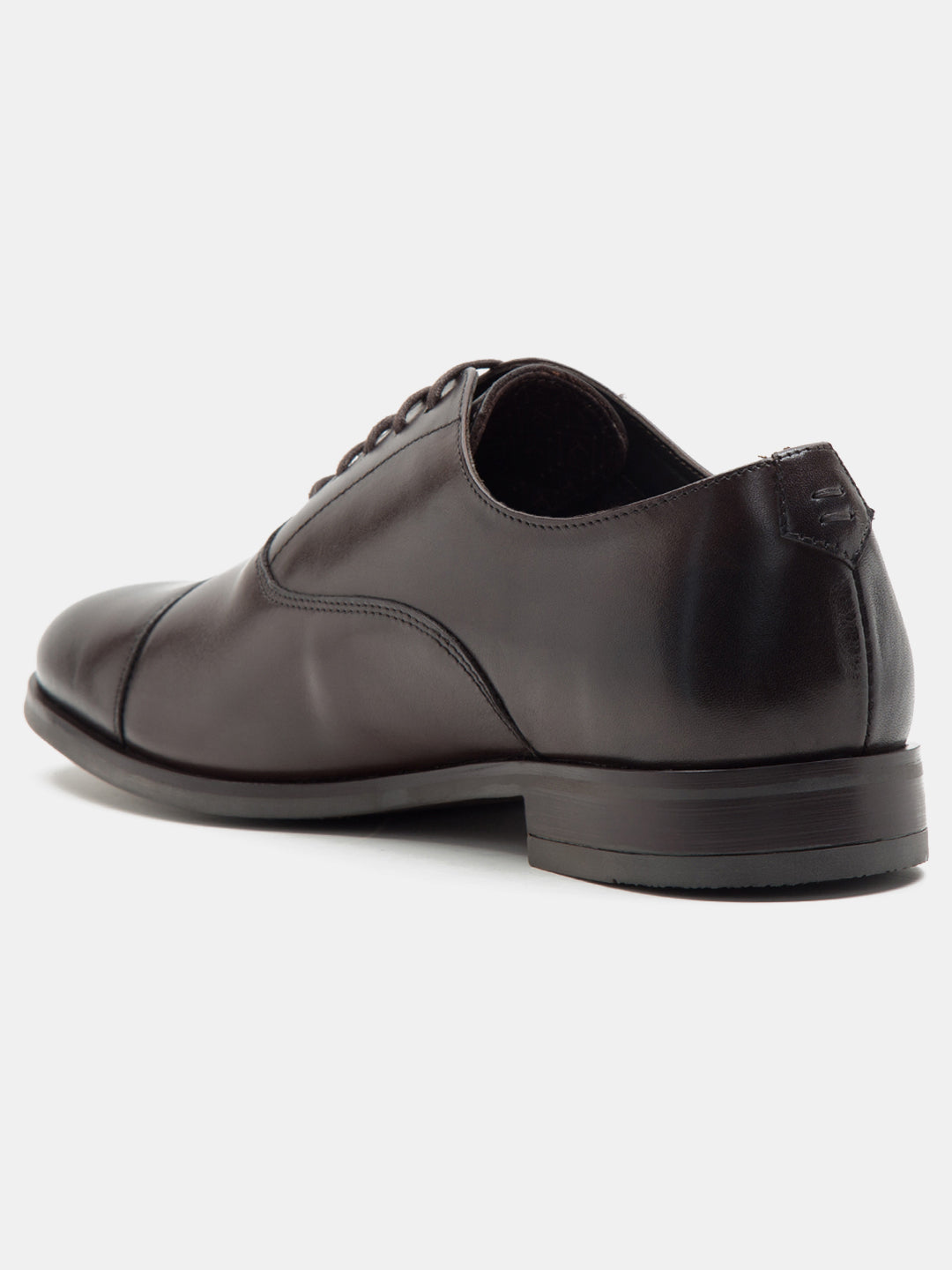 Mayfair Oxford -Brown TC-2316BR