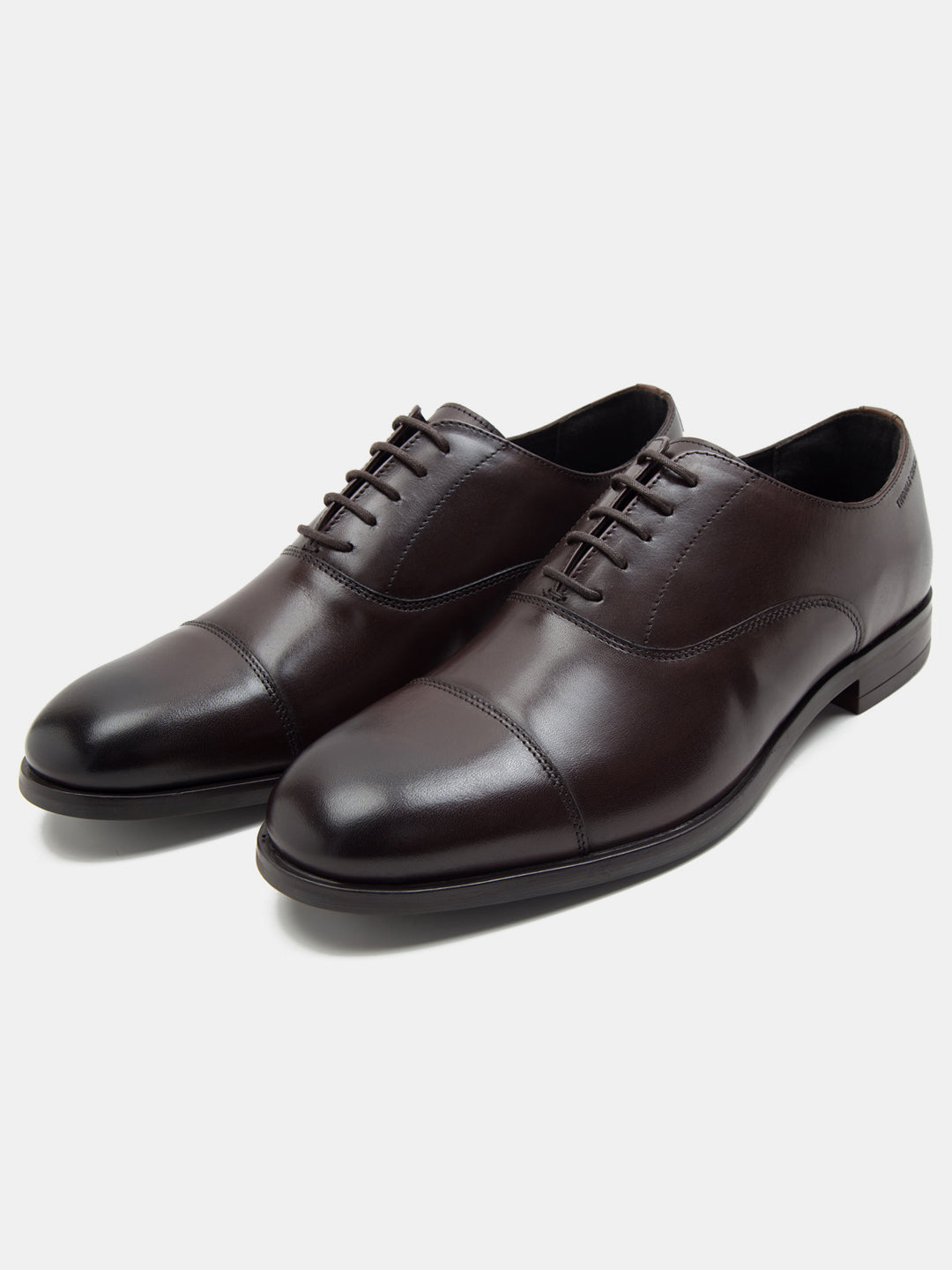 Mayfair Oxford -Brown TC-2316BR