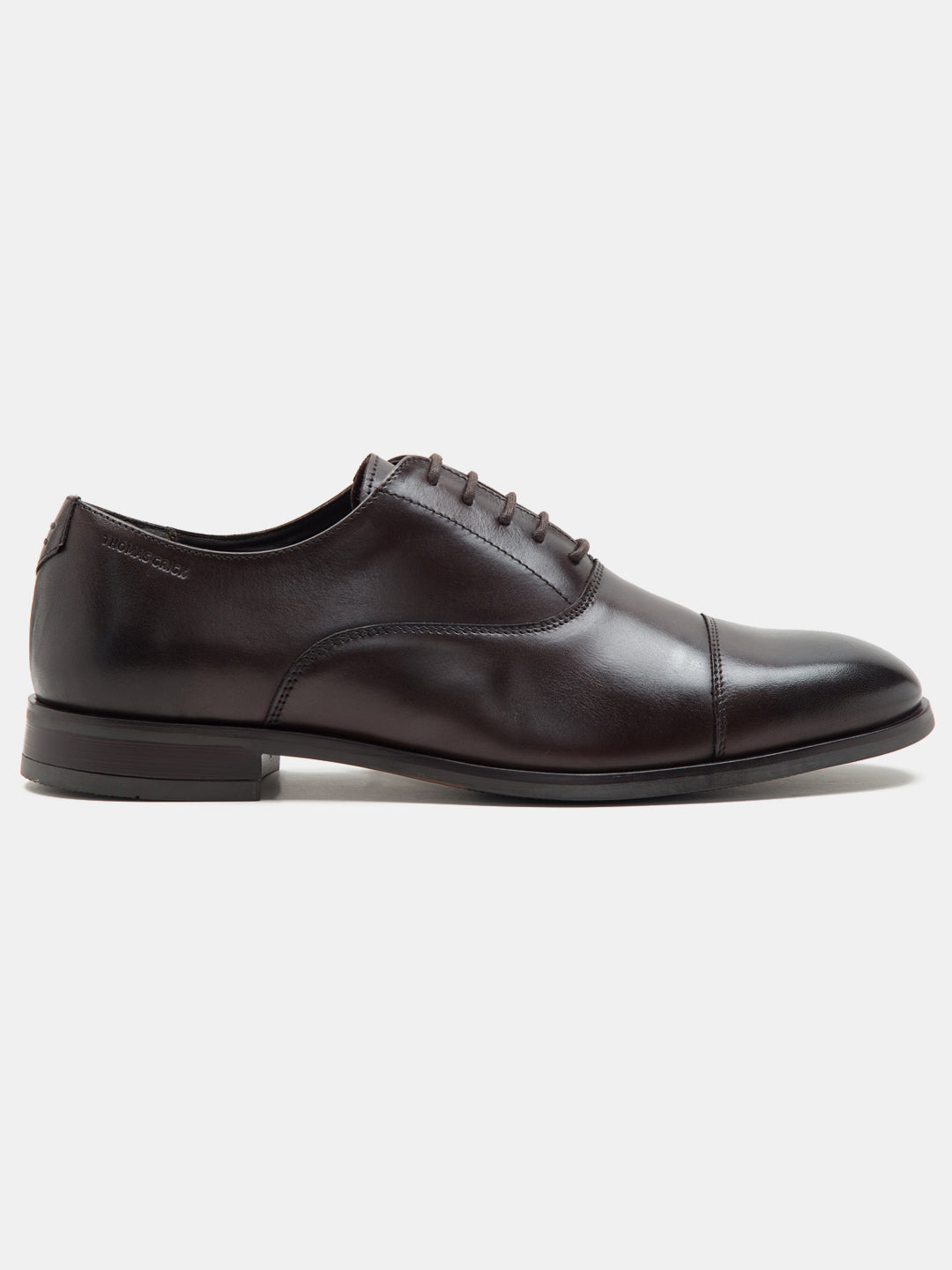Mayfair Oxford -Brown TC-2316BR