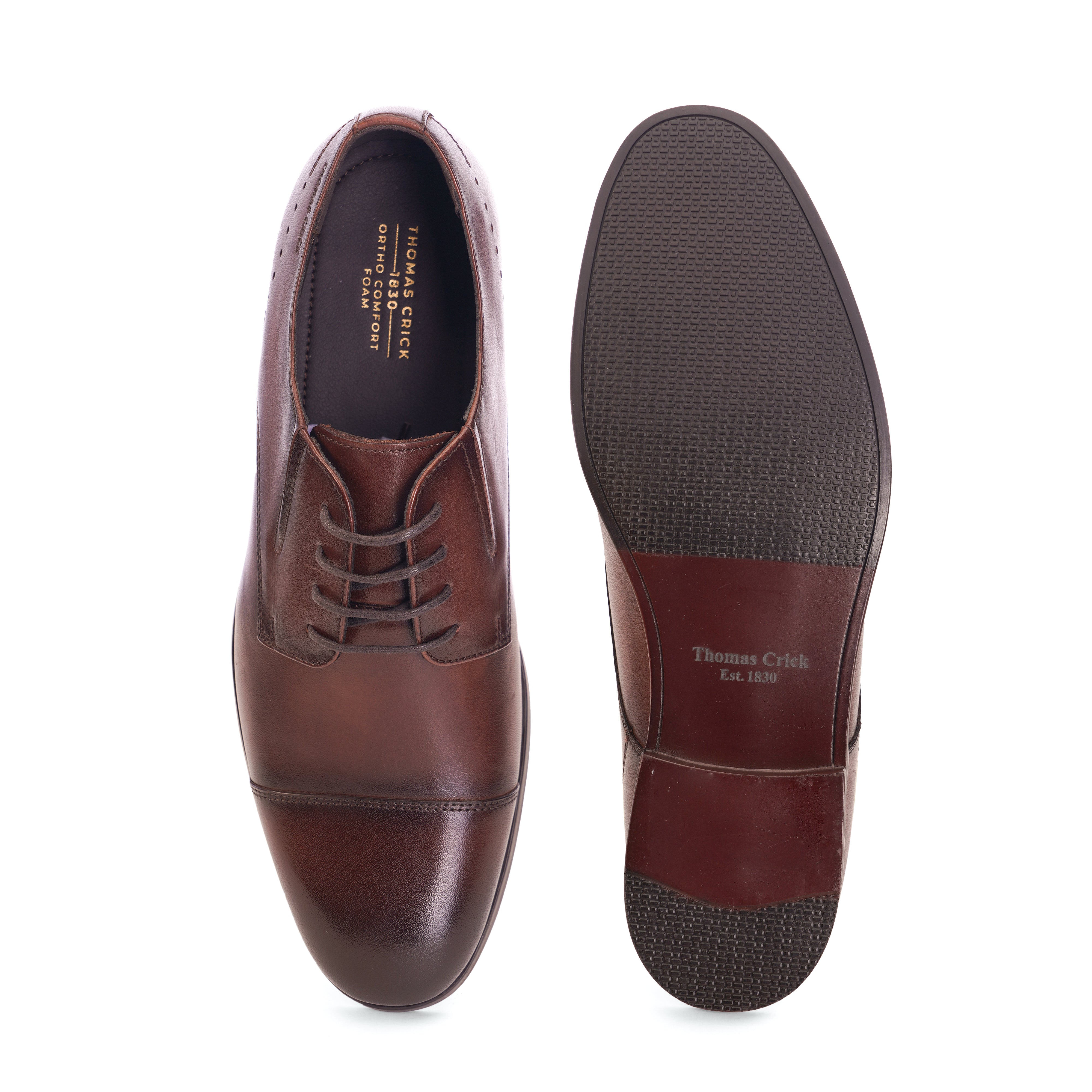 Chester Oxford Brown Plain Derby Shoes (TC-2336BR)
