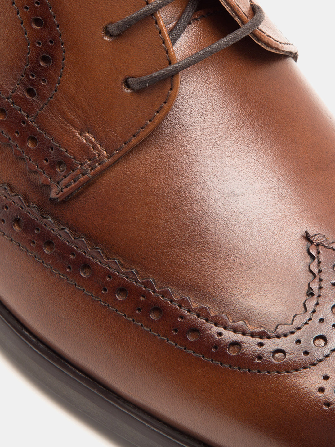 Sheffield Brogue Dark Tan  TC-2314DTN
